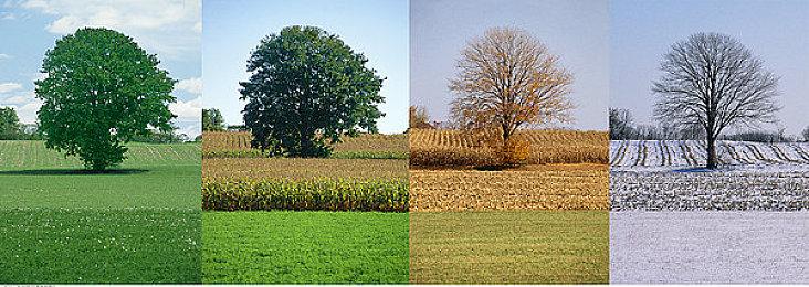 暴死预定？《星鸣特攻》Steam愿望单将近800名开外