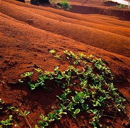 《星球大战：法外狂徒》将去除“强制潜行”：被发现不再回档